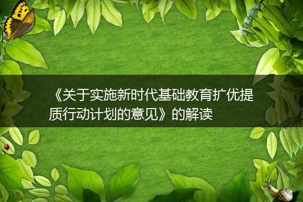 《关于实施新时代基础教育扩优提质行动计划的意见》的解读