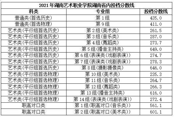 湖南艺术职业学院招生计划及录取分数线