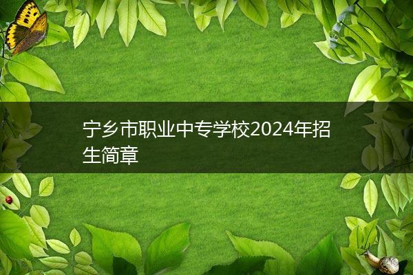 宁乡市职业中专学校2024年招生简章