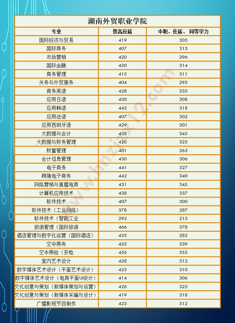 2024年湖南省高职院校单招录取分数线汇总表