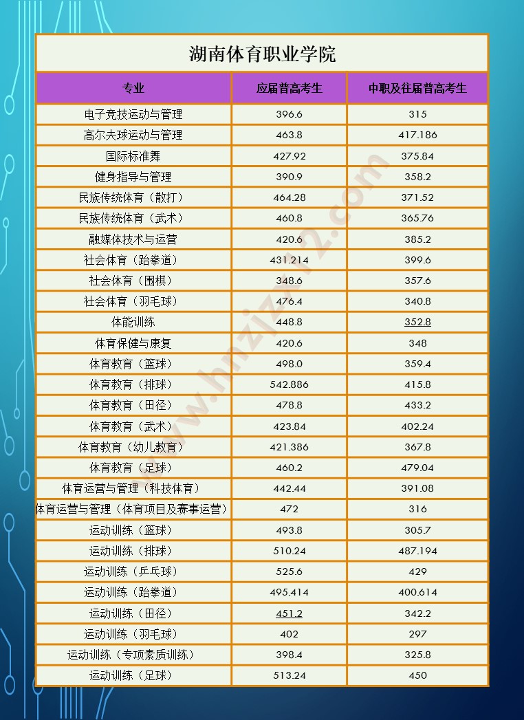 2024年湖南省高职院校单招录取分数线汇总表