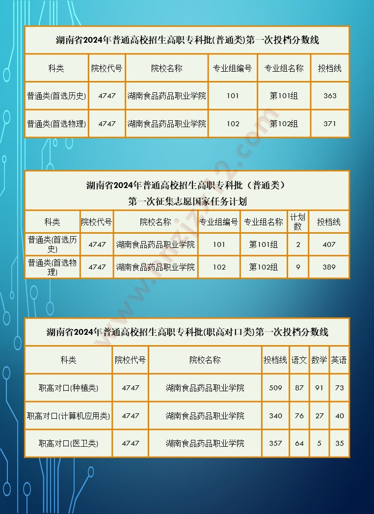 2024年湖南省高职院校单招录取分数线汇总表