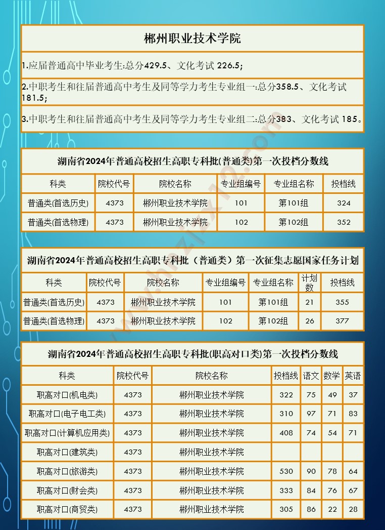 2024年湖南省高职院校单招录取分数线汇总表