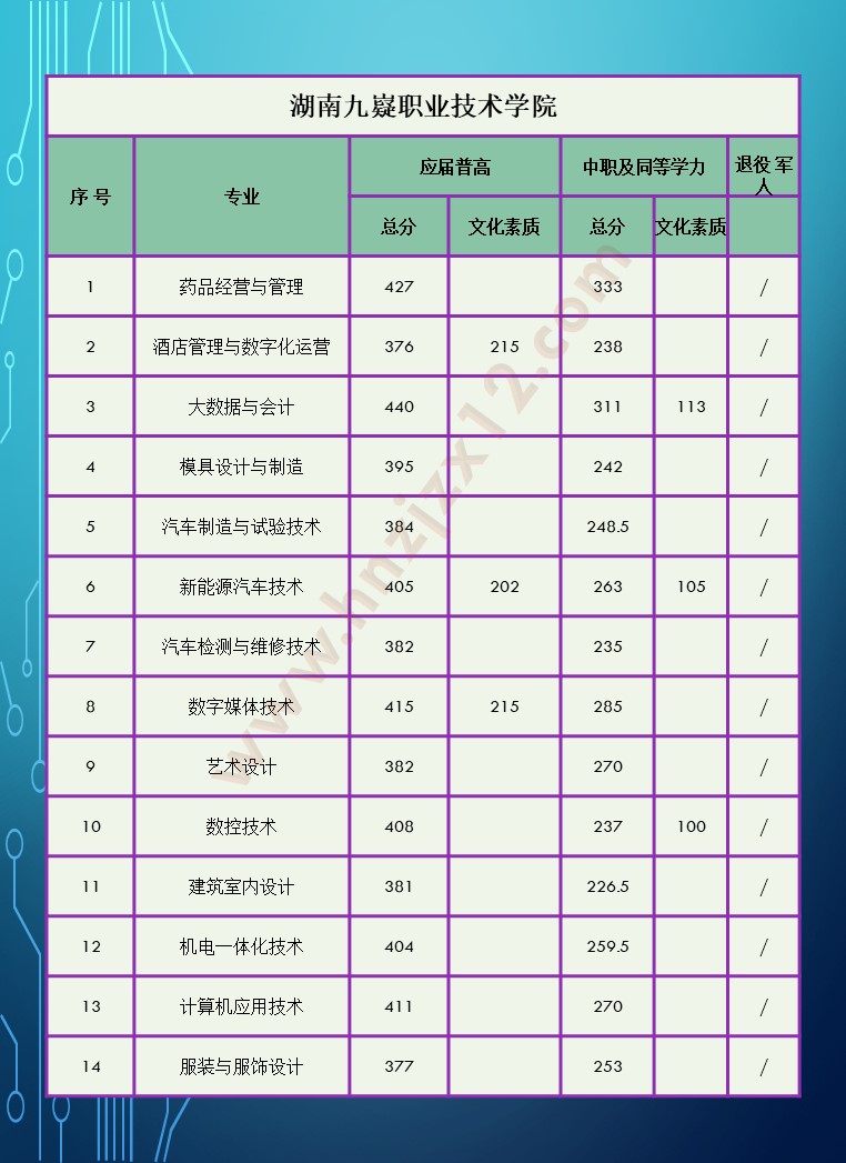 2024年湖南省高职院校单招录取分数线汇总表