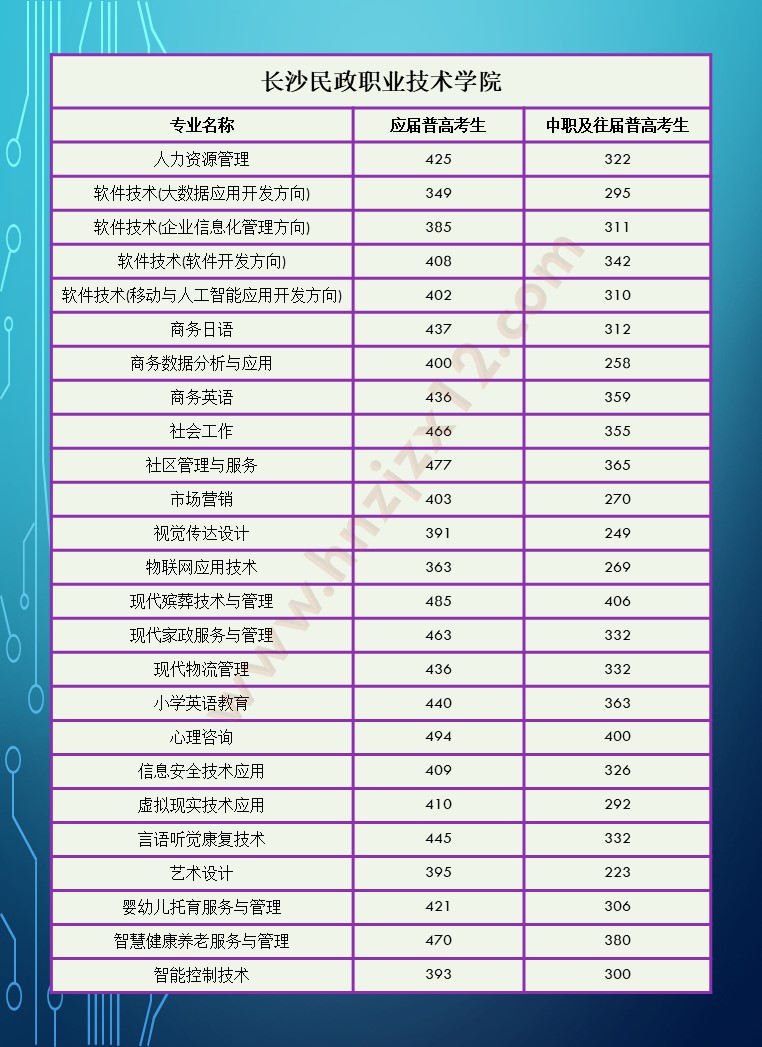 2024年湖南省高职院校单招录取分数线汇总表