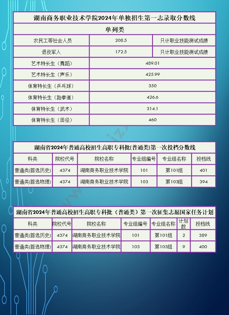 2024年湖南省高职院校单招录取分数线汇总表