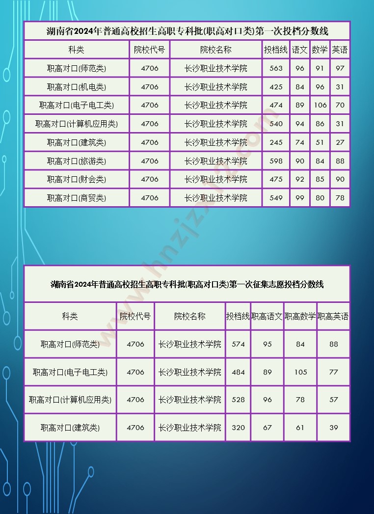 2024年湖南省高职院校单招录取分数线汇总表