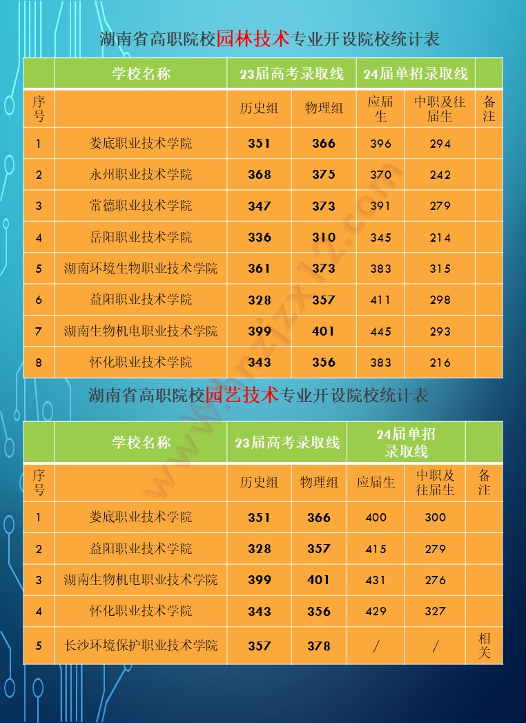 2024年湖南省公办高职院校单招分专业录取分数线统计表