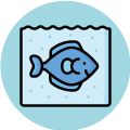 海水养殖