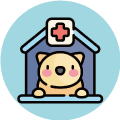宠物养护与经营